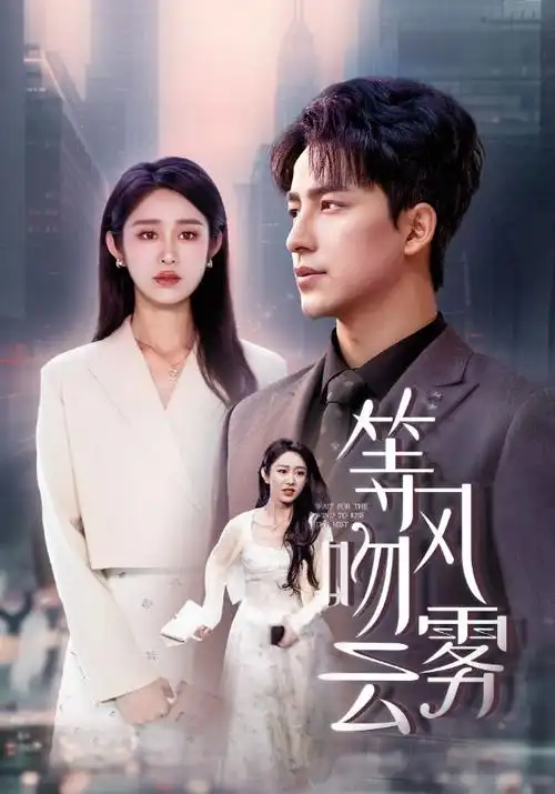 《大明王朝2》封面